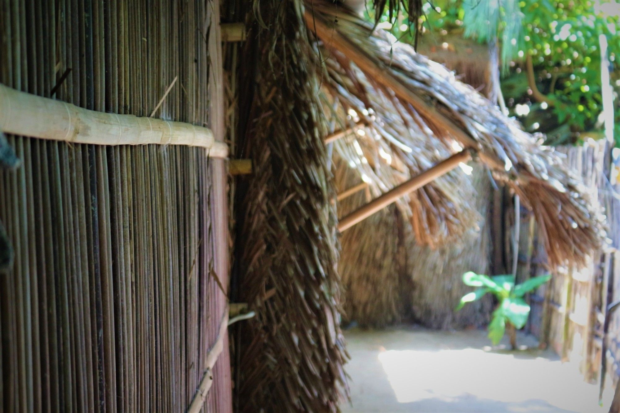 Hotel Under The Coconut Tree Hoi An Exterior foto